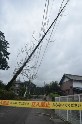 倒れた木が電線に引っかかり通行止めとなっている現場＝２０日午前７時35分、栃木市皆川城内町