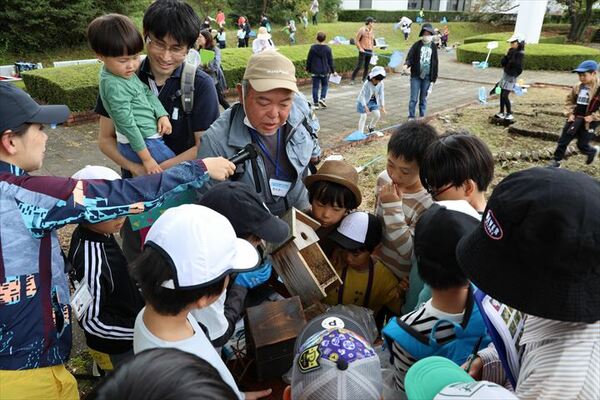 巣箱の中を観察する参加者