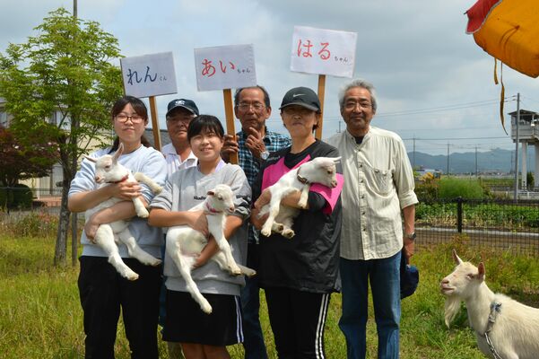 新たに飼育する三つ子のヤギたち