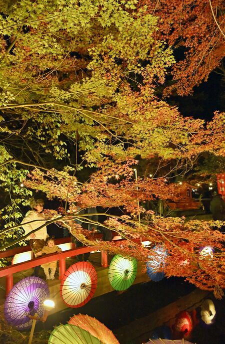 和傘とともに幻想的にライトアップされる紅葉