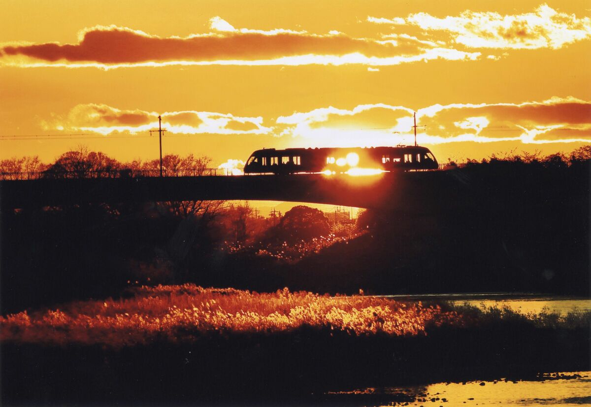 img_57a6b6195ff670c3a2d1083388