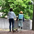 強盗殺人から一夜　不安の登校、保護者ら車で送迎　上三川