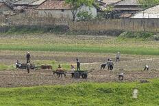 北朝鮮で干ばつ警報