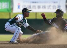 栃木GB、控え組に貴重な経験　「リーグ戦は勝ちにこだわる」　NPBチャ…