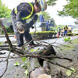 台風10号被害警戒 栃木県内でも備え　倒木の恐れある街路樹伐採