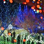 四季の移ろいを光で表現　茨城県内で最大級の「かわちイルミネーション」