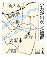 大阪市の公園にシカ現る