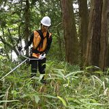 【夏に挑む　若手記者体験記】⑥杉並木保存活動　残った筋肉痛と使命感