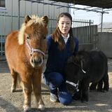 「馬は家族の一員です」　ペットのポニーら１０頭、家族の支え　小山の大木さん一家