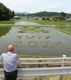 愛される地域へ「田んぼアート」