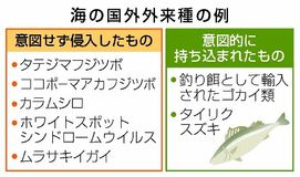 日本の海 外来種１１２種
