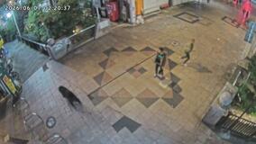 市街地を縦横無尽