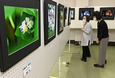 写真愛好家の力作20点並ぶ