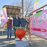 全国的にも珍しい“駅チカ”イチゴ狩り　真岡鉄道・北山駅でPR
