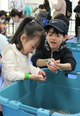 動物に触れて楽しむ子どもたち