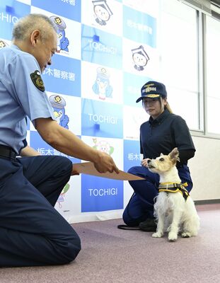 石川署長（左）から感謝状を受け取る飯田さん。右はジャック・ラッセル・テリアの「カノン」