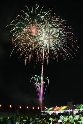 夜空を色鮮やかに彩った花火