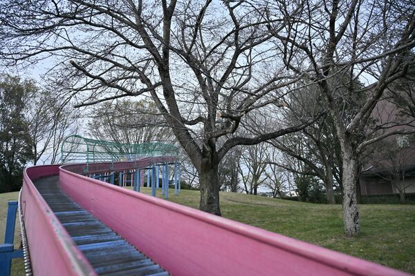 咲き始めの野木町の赤塚ふれあい公園=4月2日午後