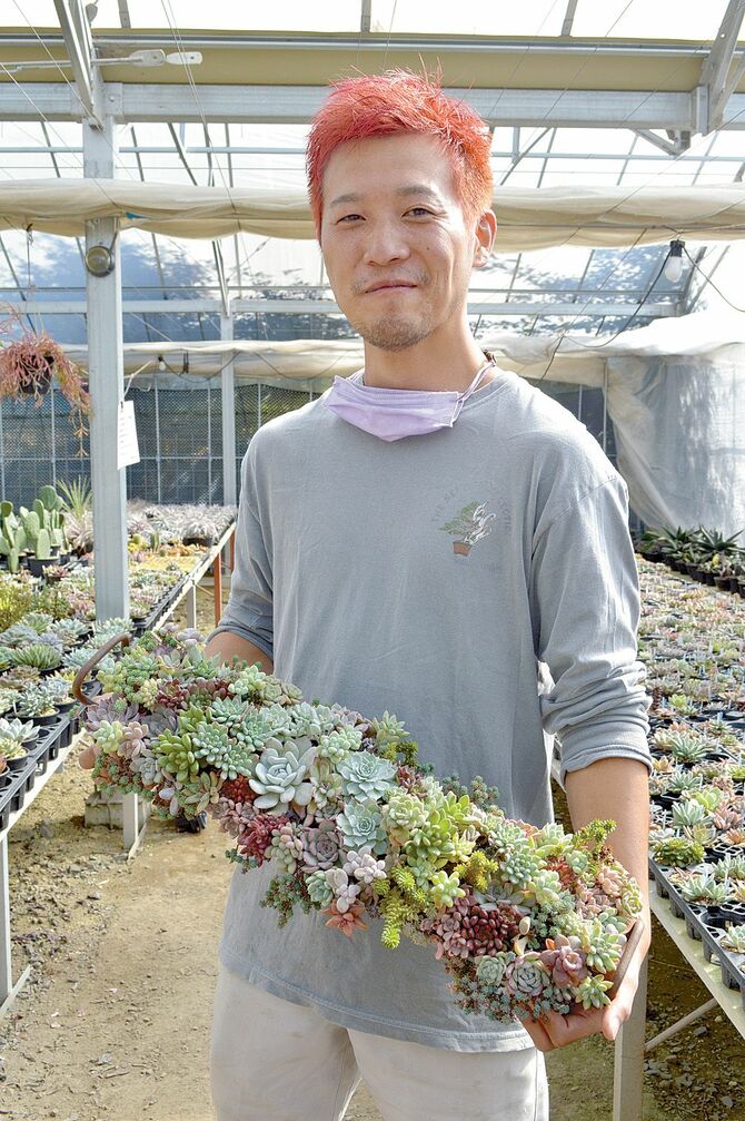多肉植物の楽しみ方を「見て、寄せ植えして、触って楽しい」と話す福田オーナーとお薦めの寄せ植え