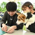 宇都宮大生と栃木県が「ペット防災フェスタ」初開催 防災手帳やネームタグ作成 「同行避難」理解促進を
