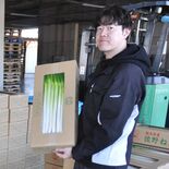 佐野ネギ出荷部会発足　高品質でブランド化、地産地消　佐野ラーメン店への…
