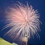 道の駅サシバの里いちかい　10周年祝い迫力の花火130発　春の里山を彩る