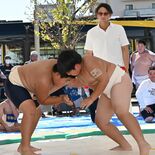 宮みらいライトヒルで「はっけよーい」　子ども相撲大会、80人が熱戦　Ｌ…