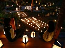 枯れ山水の庭、穏やかな光