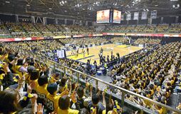 ブレックス、大阪に競り勝ち３連勝　下野新聞社冠試合