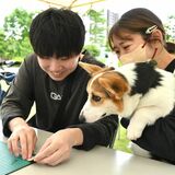 宇都宮大生と栃木県が「ペット防災フェスタ」初開催　防災手帳やネームタグ作成　「同行避難」理解促進を
