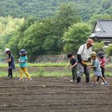 「天まで高く育ってね」　園児がキバナコスモスの種まき　宇都宮・鈴木さん方の棚田