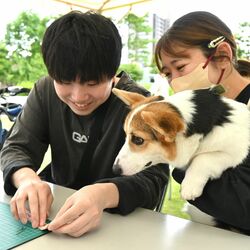 宇都宮大生と栃木県が「ペット防災フェスタ」初開催　防災手帳やネームタグ作成　「同行避難」理解促進を