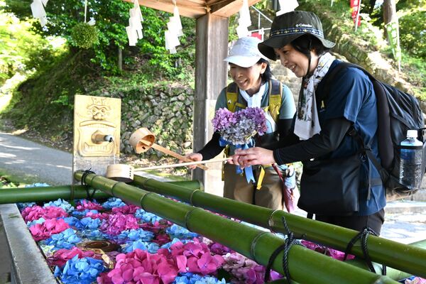アジサイが浮かぶ花手水で手を清める参拝客