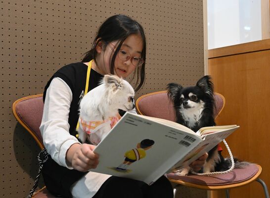 セラピー犬に本を読み聞かせる子ども＝６日午後、鹿沼市睦町