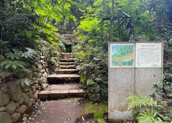 　等々力渓谷３号横穴＝東京都世田谷区