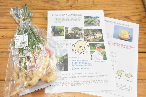 菊地さんが育てたショウガと中学生が作成したチラシ