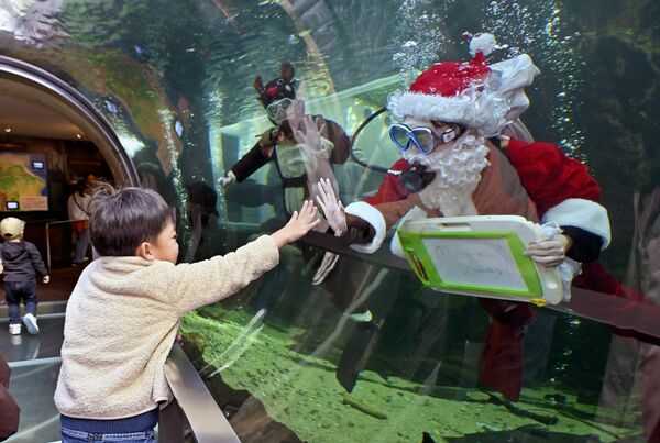 子どもとガラス越しに触れ合う水中マスク姿のサンタクロースとトナカイ＝７日午前11時25分、大田原市佐良土