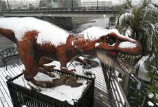 宇都宮に氷河期？　雪をかぶった「恐竜」が絶滅直前のよう【動画】