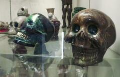 怖いだけじゃない「骸骨」の魅力発信