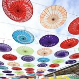 空に並ぶカラフルな和傘　鹿沼・花木センターで秋恒例イベント