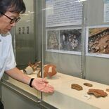 栃木県内発掘調査の成果を紹介　下野の埋蔵文化財センターで31日まで