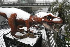 宇都宮に氷河期？　雪をかぶった「恐竜」が絶滅直前のよう【動画】