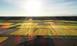 金色の田んぼと鉄道　益子