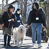 犬の癒やしを子どもたちに　宇都宮市適応支援教室「まちかどの学校」　ボランティア活動20年
