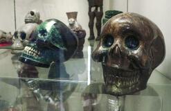 怖いだけじゃない「骸骨」の魅力発信