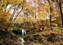 宮川渓谷で紅葉見頃　矢板