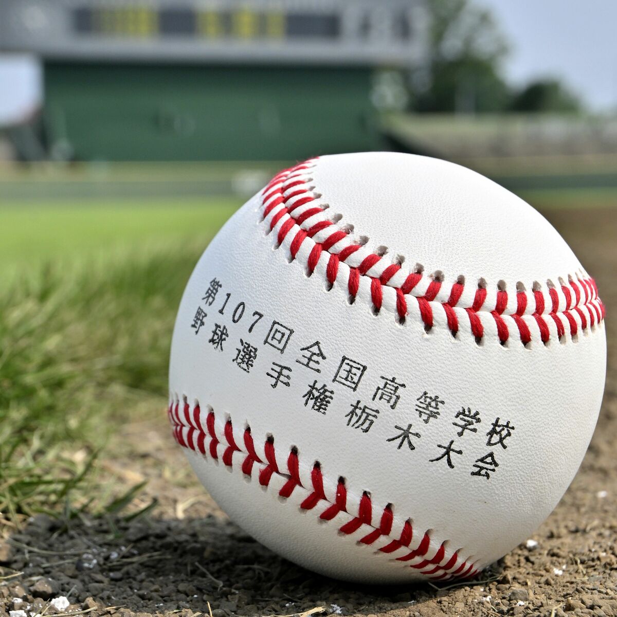 全国高校野球栃木大会 15日の試合は中止｜県内主要,スポーツ,速報