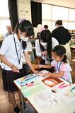 選挙啓発ポスター 小学生２４人が作成