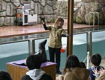 見て 参加して 生態学習