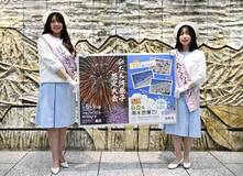 夏の見どころ 海水浴や花火